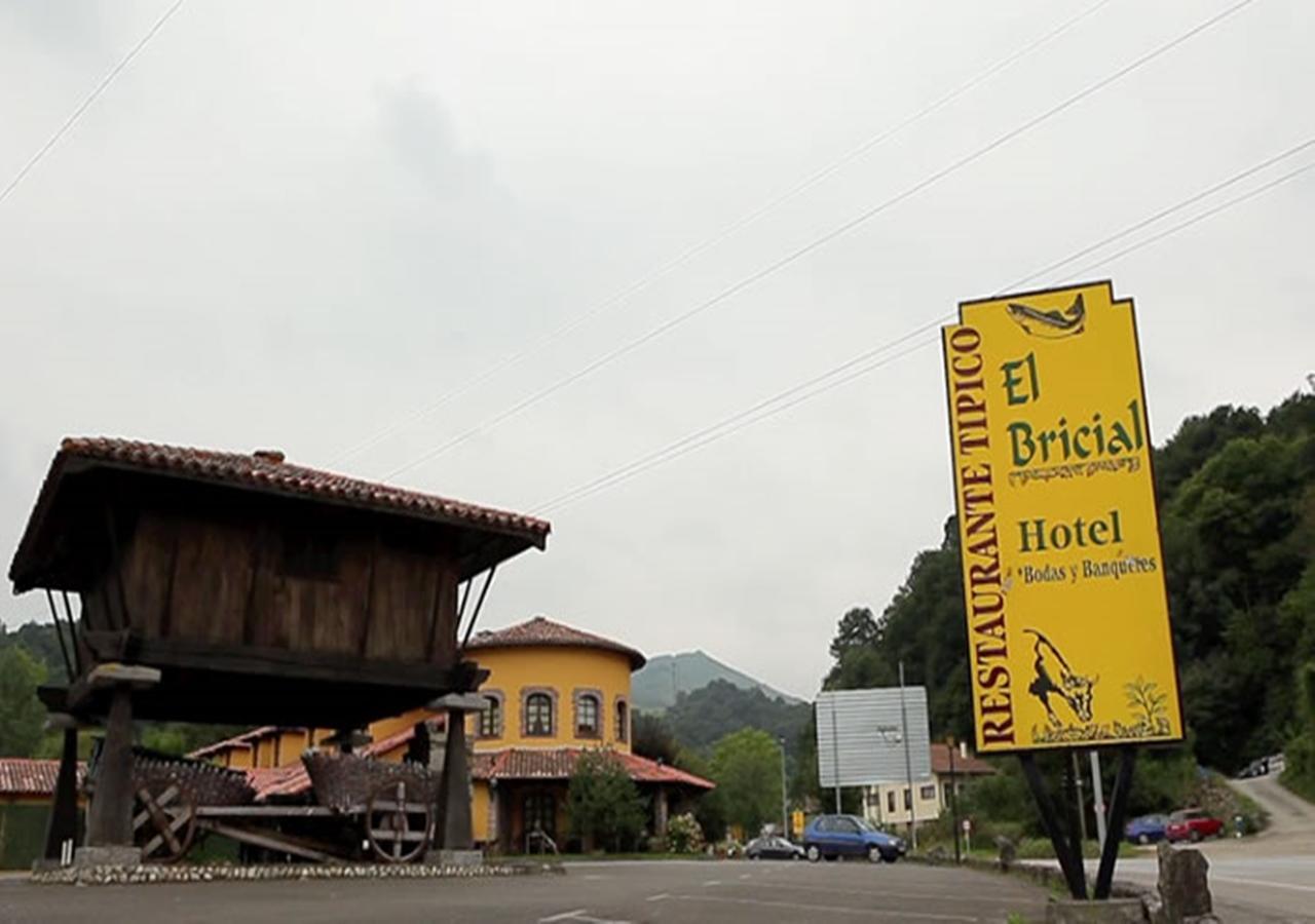 Hotel El Bricial Soto De Cangas Zewnętrze zdjęcie